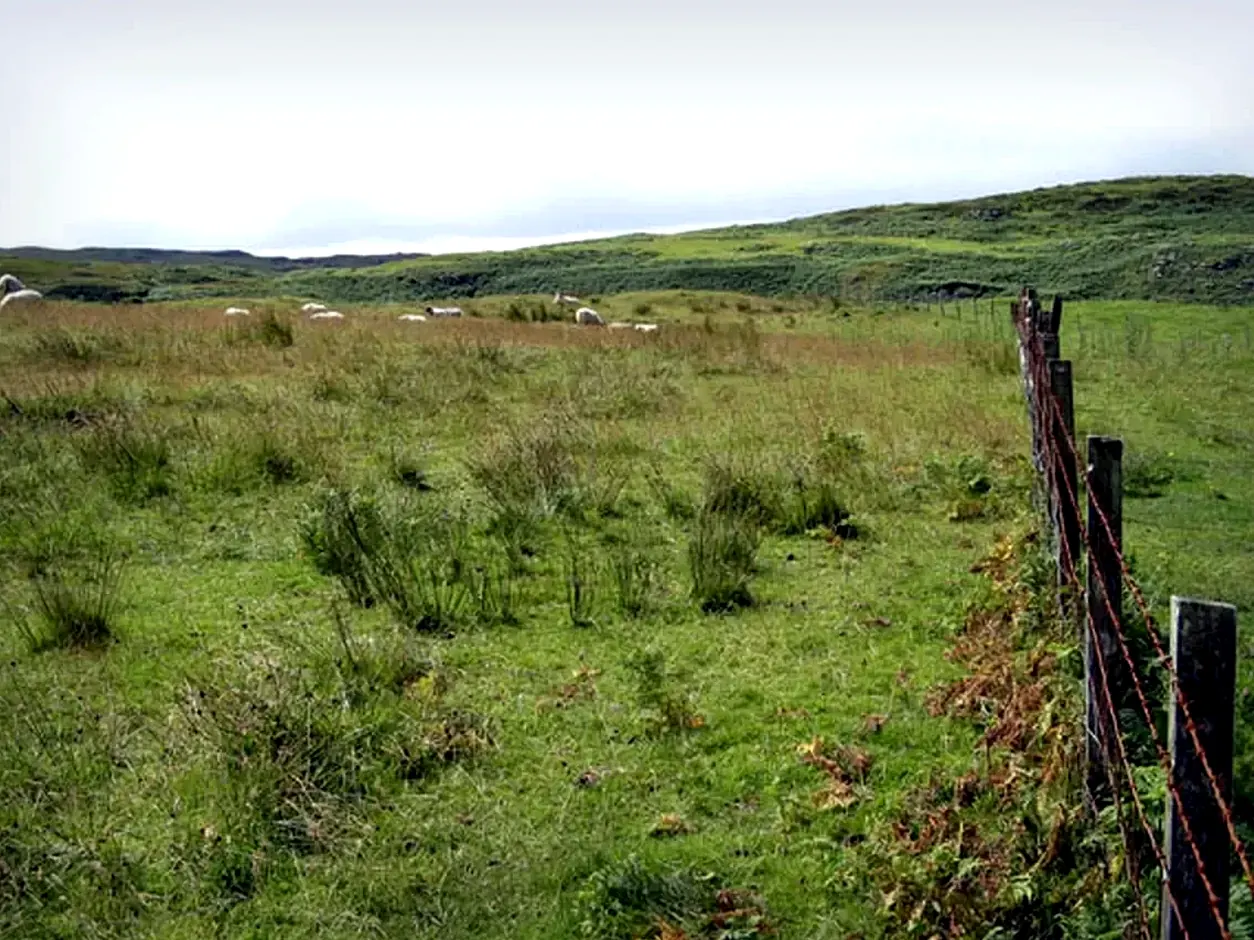 farm field fence and rural boundary application