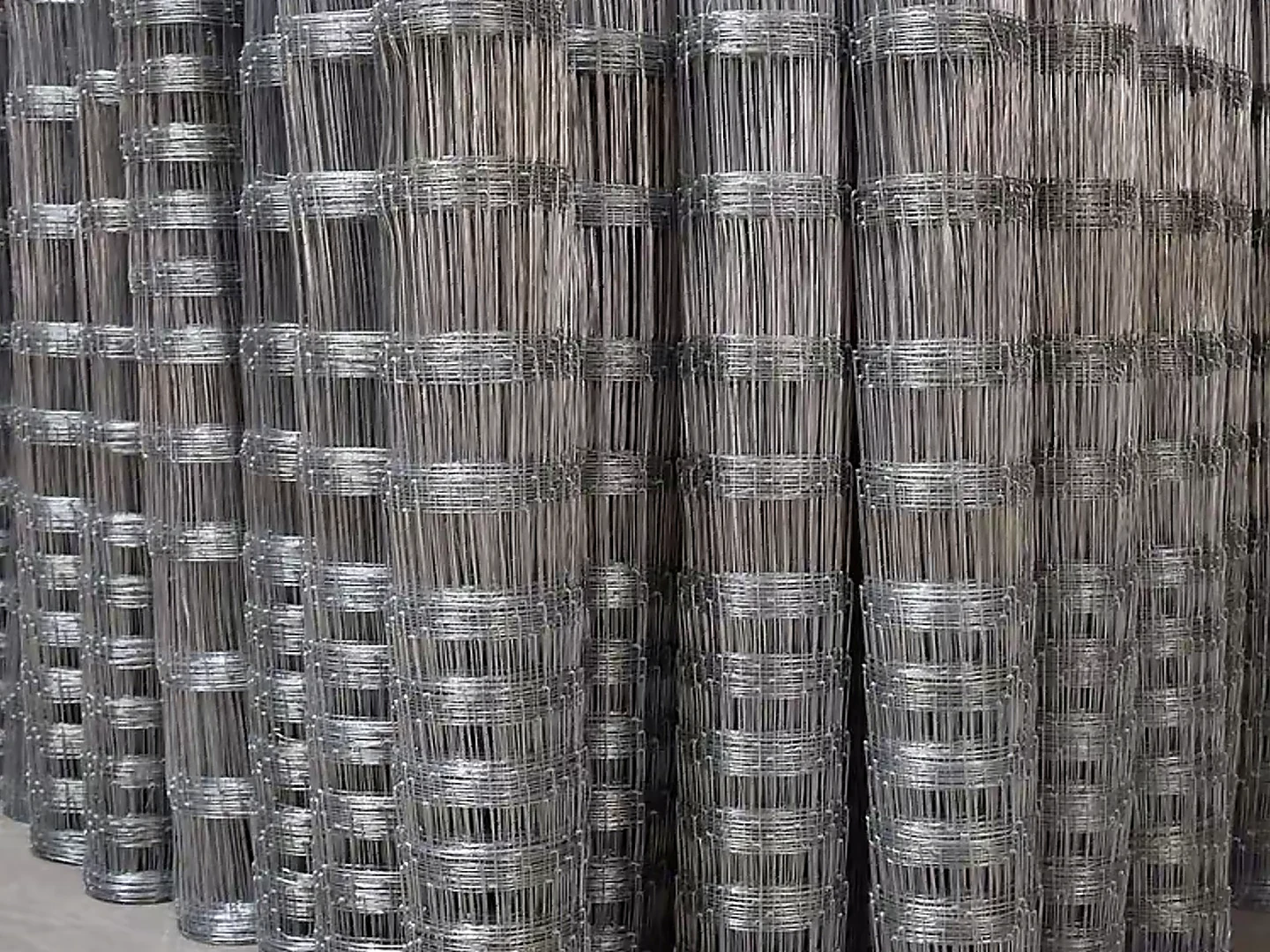 multiple galvanized welded wire mesh rolls standing together
