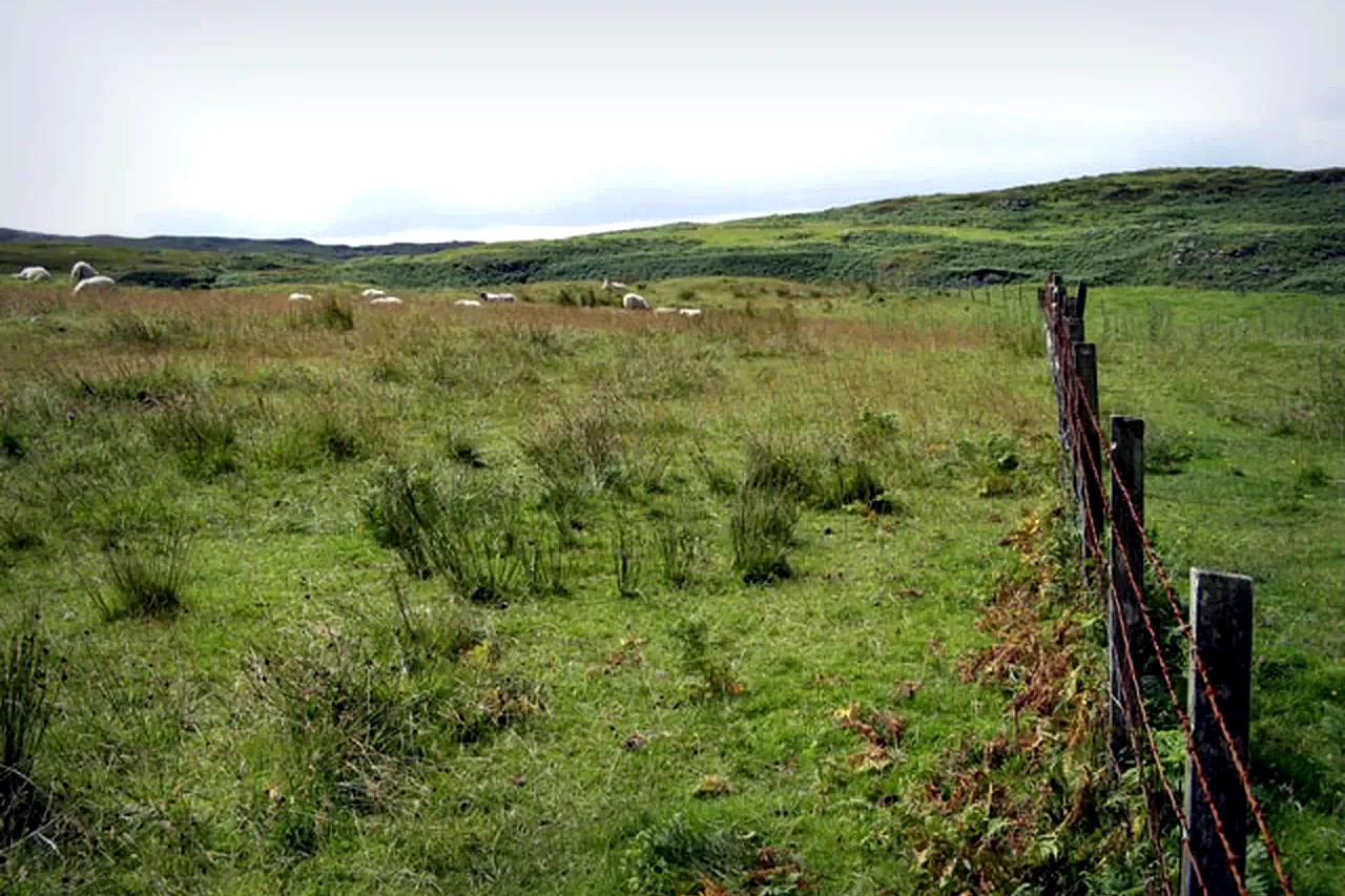 Farm, Ranch & Rural Boundary fence application
