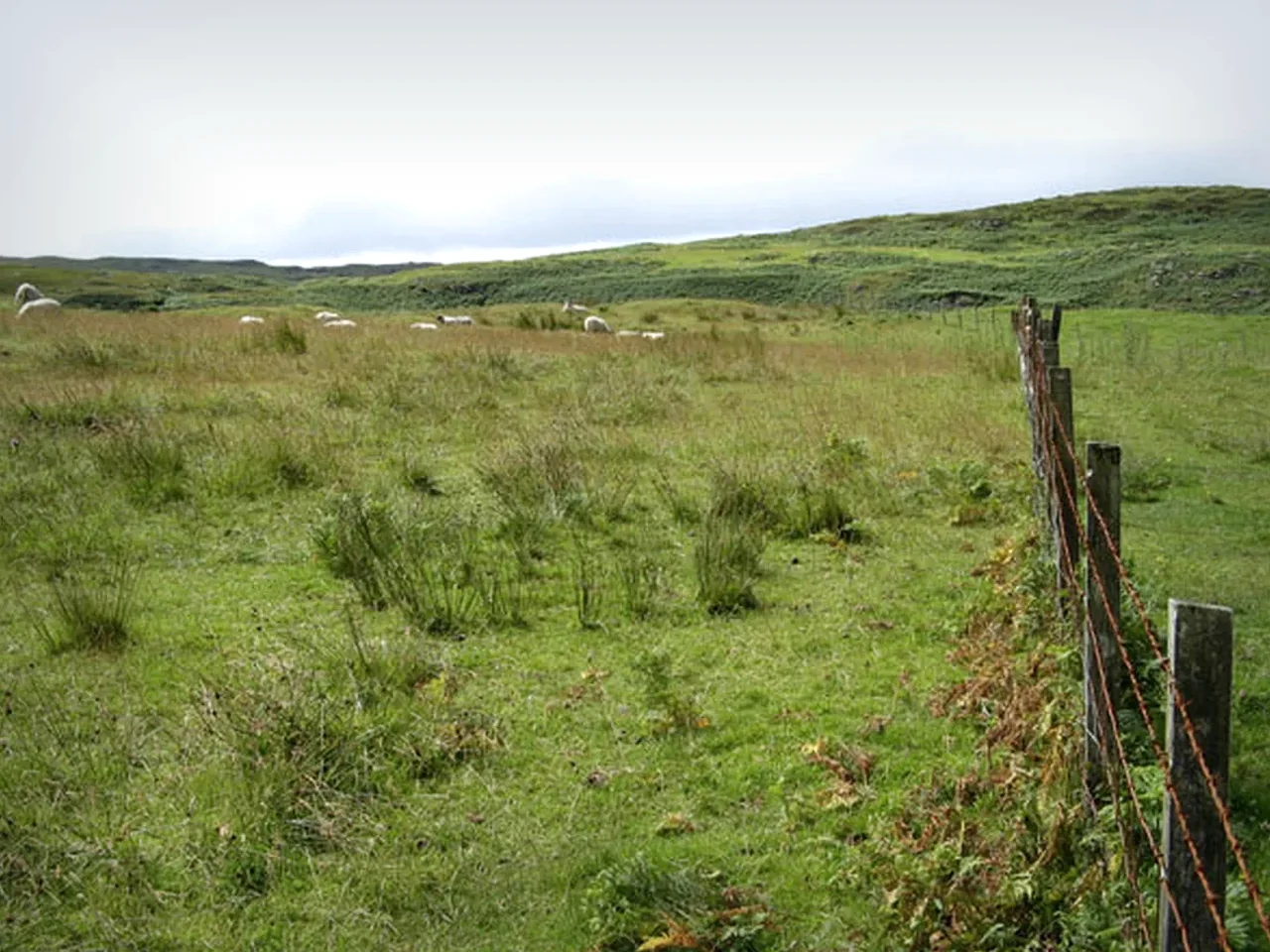 farm field fence installed along pasture and rural boundary