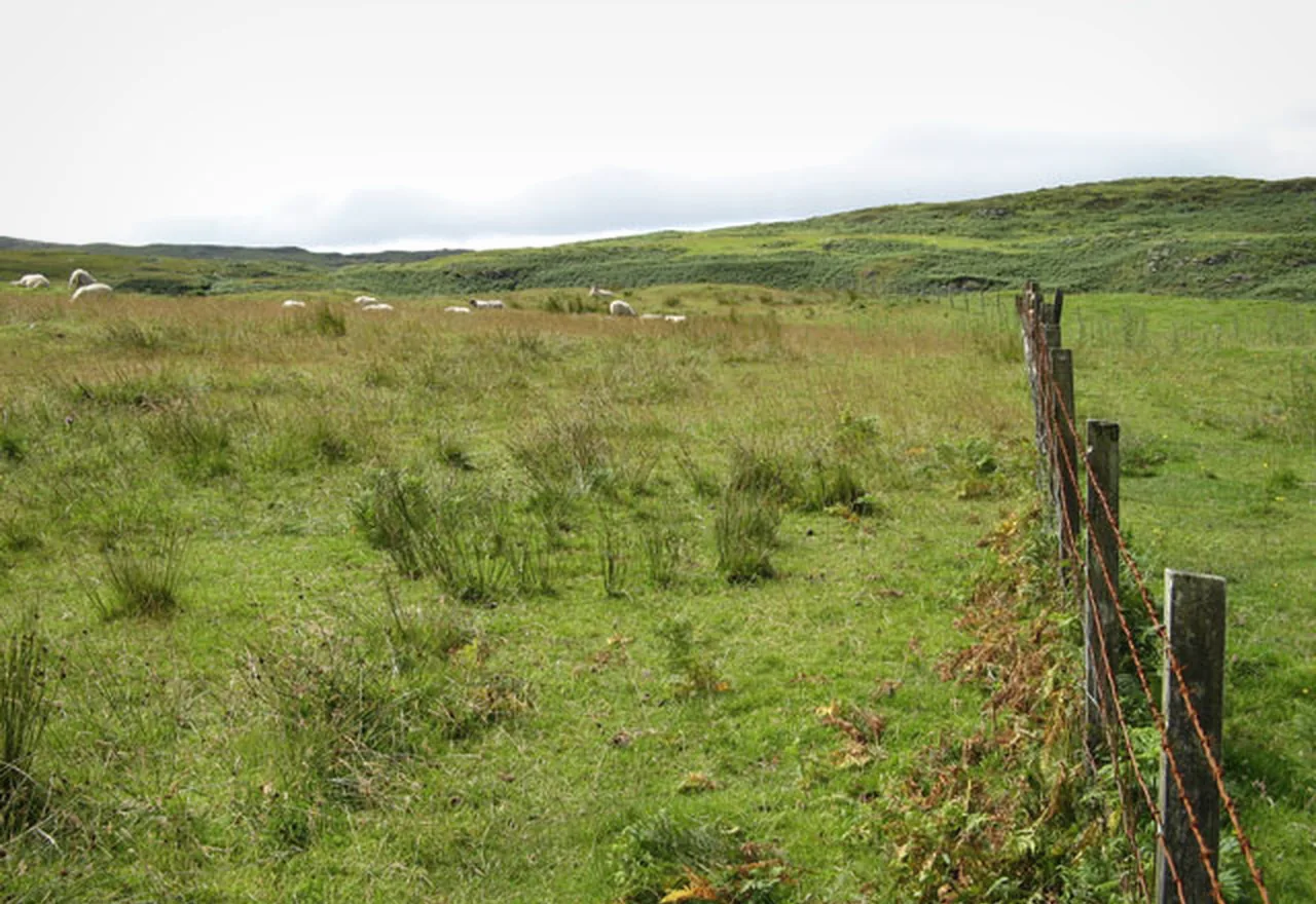Field fence for farm pasture and rural boundaries