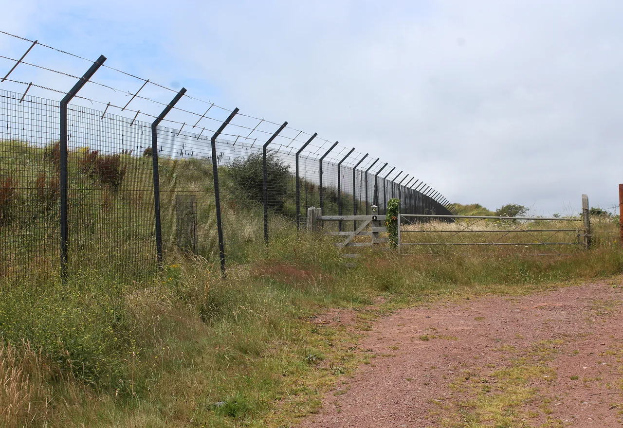 residential metal fence installed around a property boundary