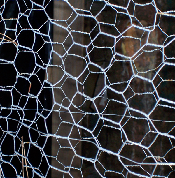 close representative view of hexagonal chicken wire poultry netting