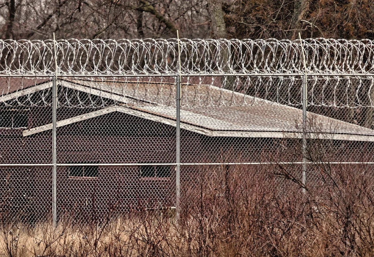 Concertina razor wire and galvanized barbed wire coils